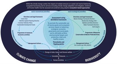 Addressing the cumulative impacts of multiple human pressures in marine systems, for the sustainable use of the seas